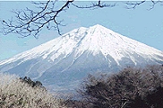 �۫H���E�M�~�A��